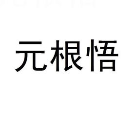 大連市沙河口區易名元經濟信息咨詢服務部市場調查 洞察區域經濟脈搏